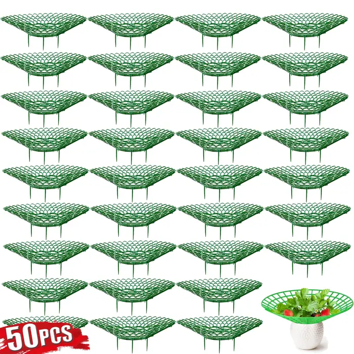 Supports pour plantes à fraises