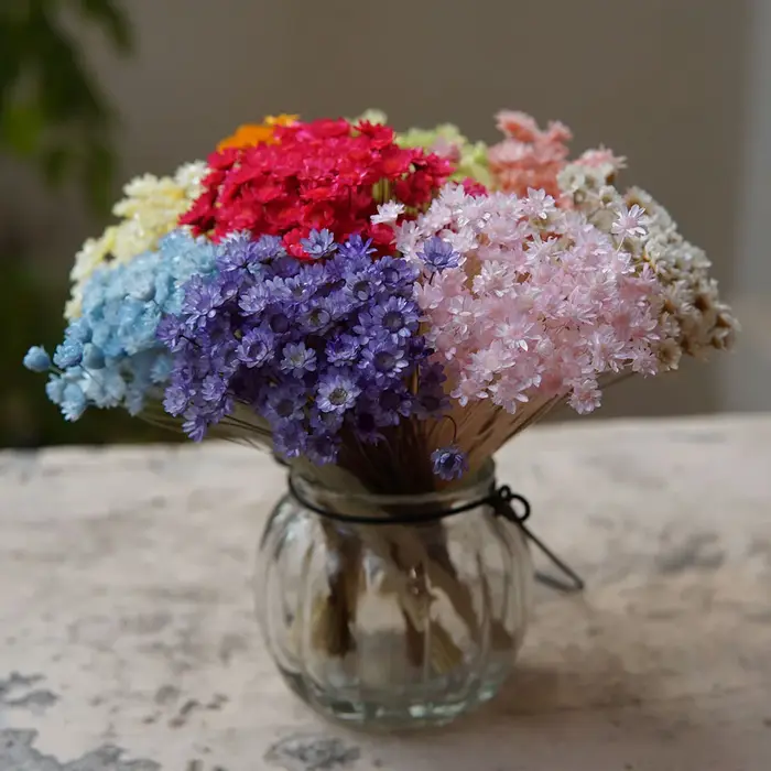 100 pièces/Mini fleurs étoilées séchées Mikado