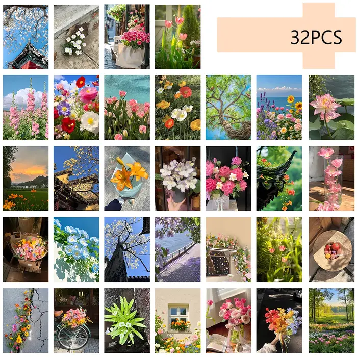 Série de cartes postales de plantes de guérison