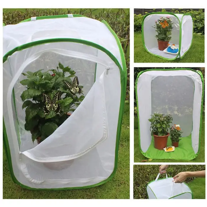 Mini Boîte d'Alimentation Noire pour Insectes