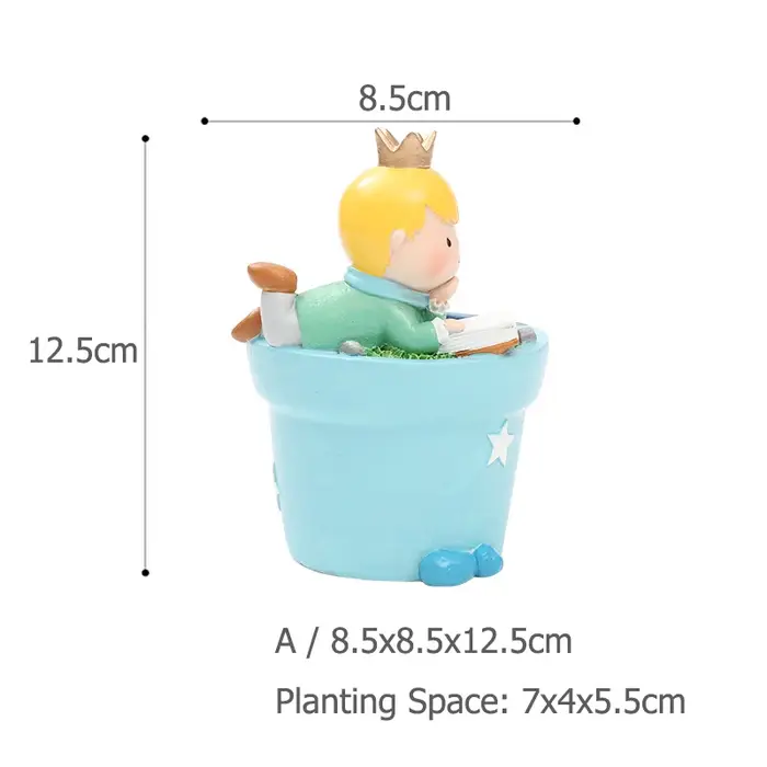 Jardinière Prince Kid pour plantes succulentes Cactus