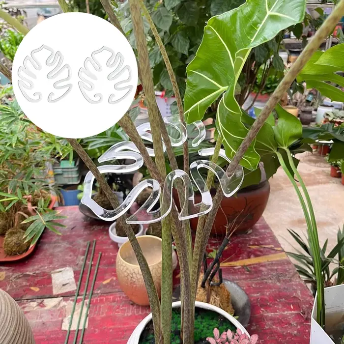 Support pour plantes en forme de Monstera