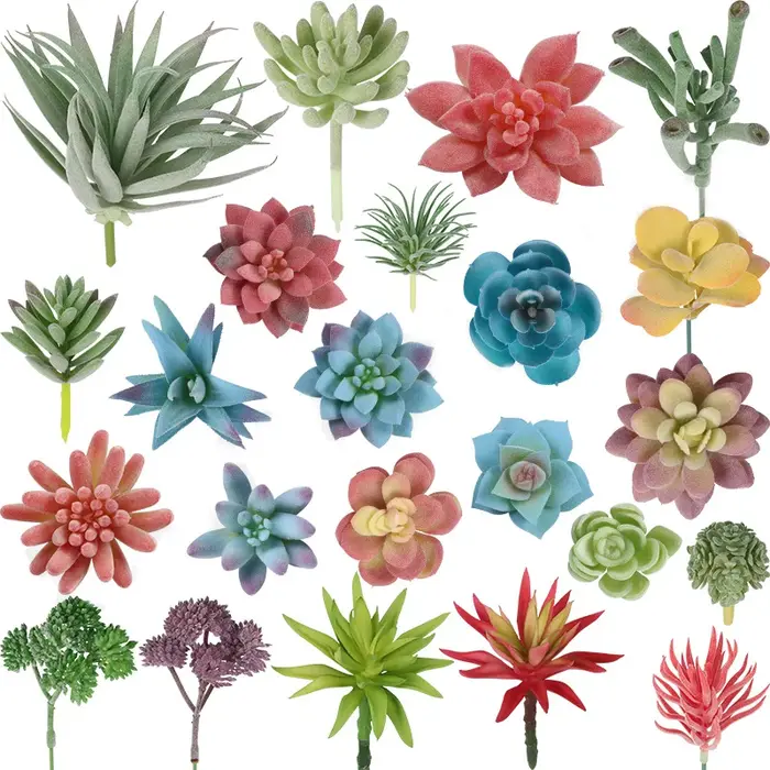 Plantes succulentes artificielles sans pot