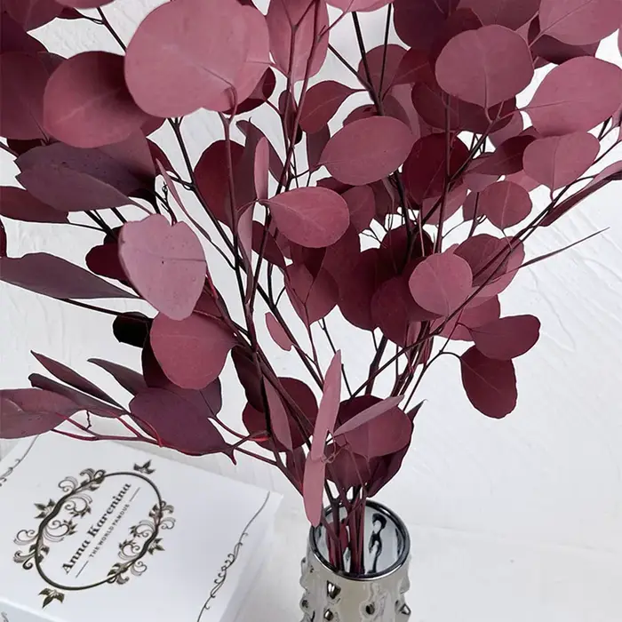 Feuilles rondes d'eucalyptus pour la décoration intérieure