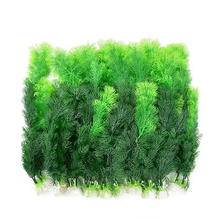 Plante de simulation d'aquarium