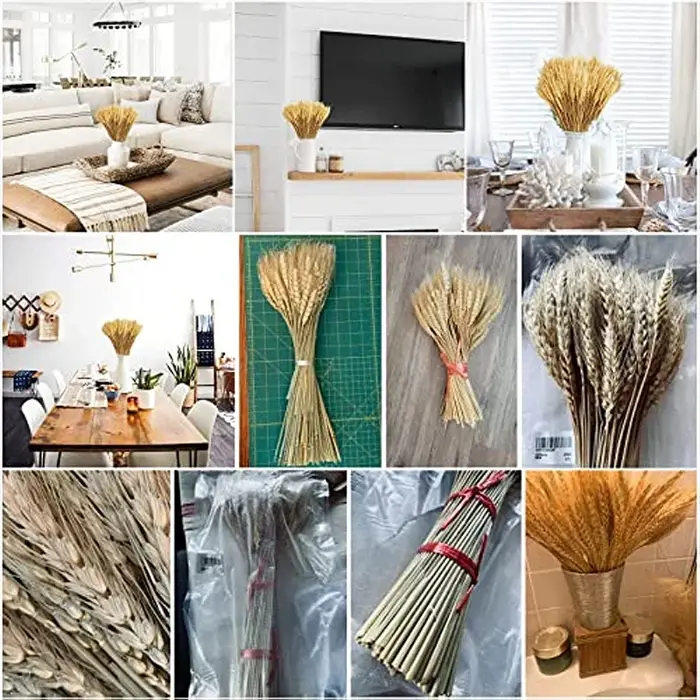 50/100/200 pièces tiges de blé séché fleur naturelle décor à la maison fête mariage ferme hôtel