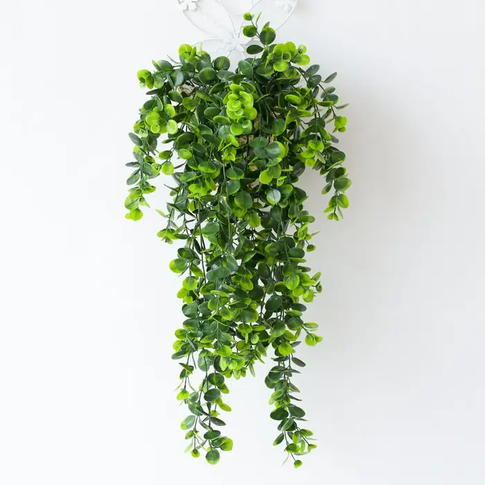 Plante verte artificielle d'eucalyptus
