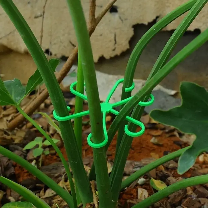 Kit de 4 supports anti-éclatement pour plantes