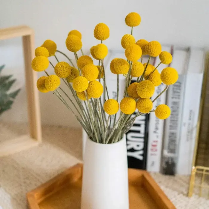 Bouquet de boules de boutons de Billy jaunes