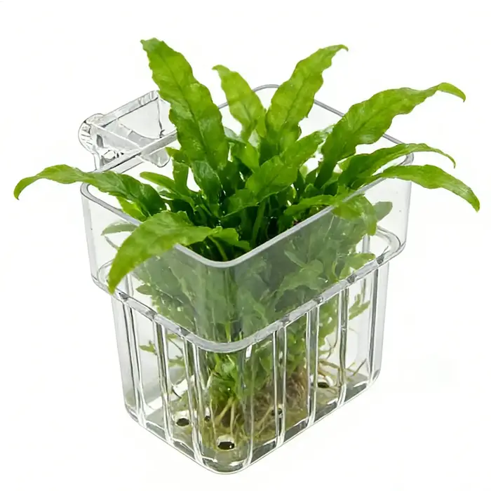 Pot porte-plante d'aquarium suspendu Transparent