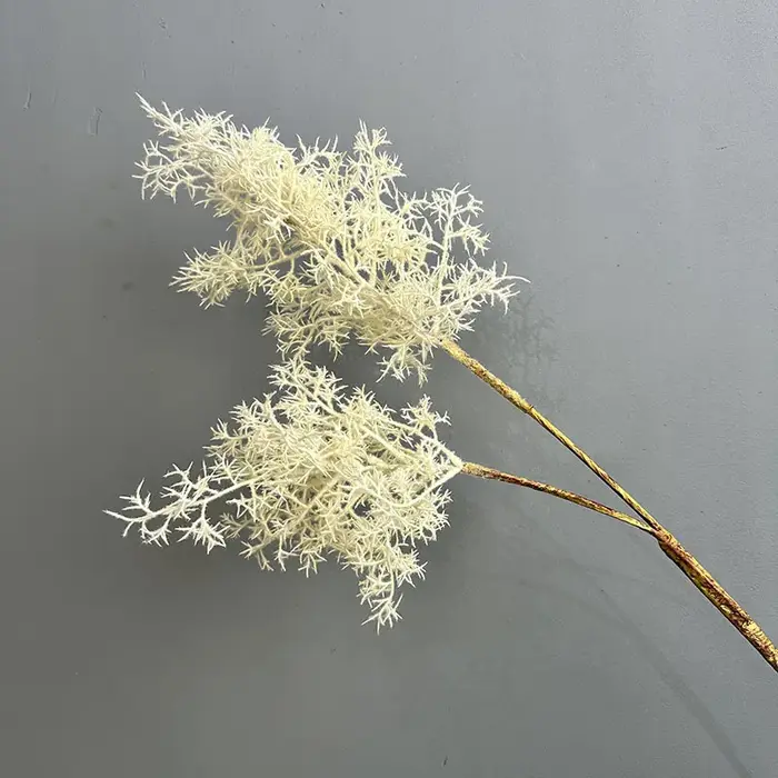 Plantes vertes enrichies de brume artificielle, décoration florale de haute qualité, simulation de m