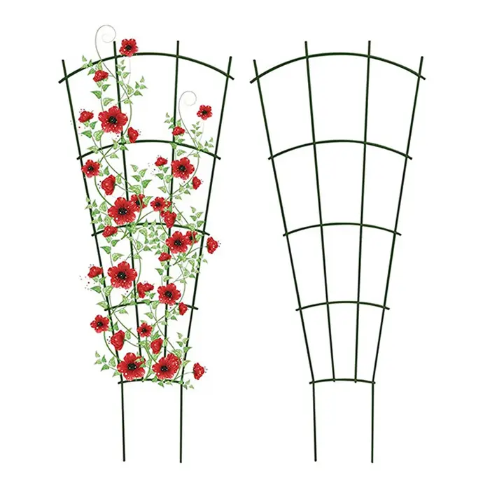 Cadre de Support d'escalade, piquet de plante, treillis de vigne, Supports métalliques, fournitures 