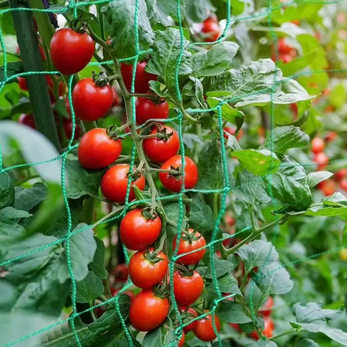 Filet de treillis pour plantes grimpantes