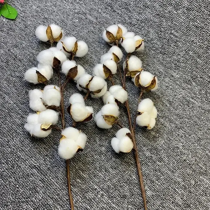 Fleurs artificielles en coton séché