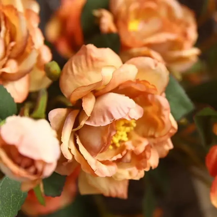 E8BD – ornement Floral pivoine