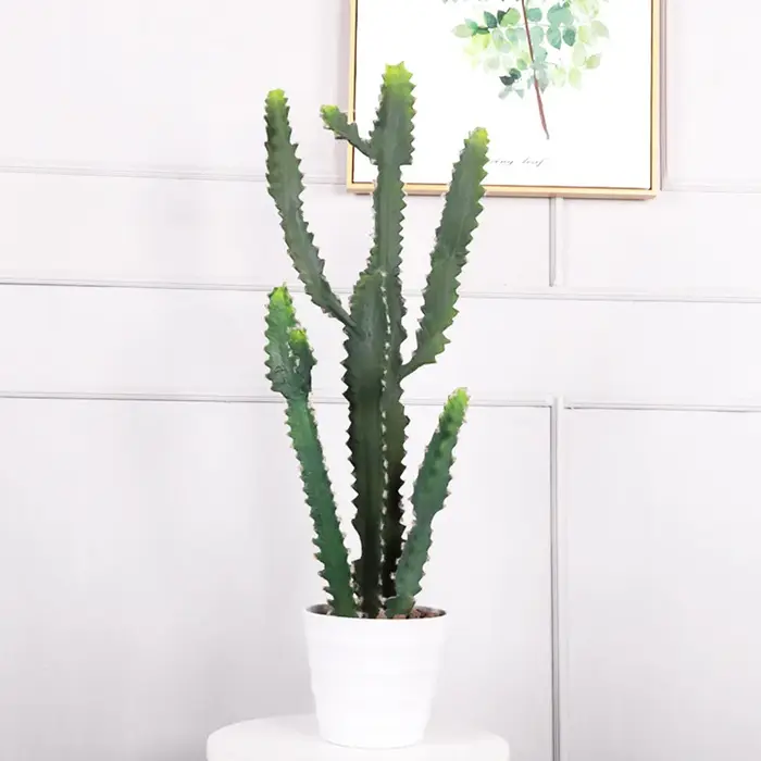 Cactus Plante Succulente Artificielle