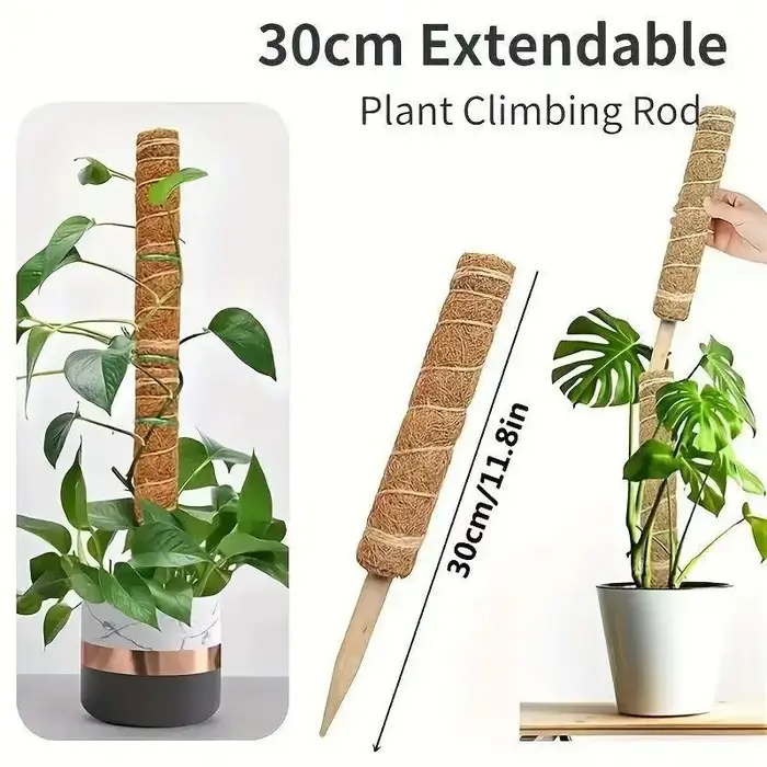 Support de grimpement pliable en mousse de coco de 30-100 cm pour plantes grimpantes d'intérieur