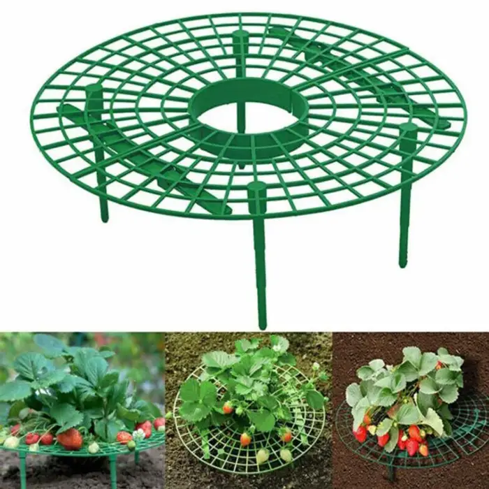 Harvey-Support de cadre de plantation pour plantes et fleurs, pilier de vigne grimpante, support de