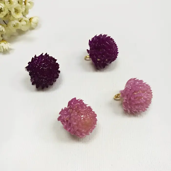 Aqumotic – plantes sèches