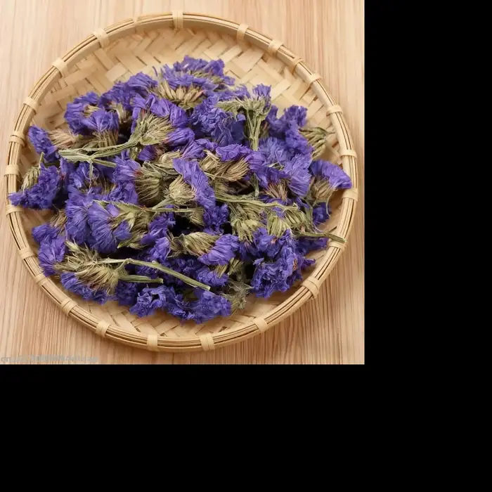 Miosotis bleu naturel en vrac, fleurs séchées naturelles, ne meubli pas, décoration de mariage à dom