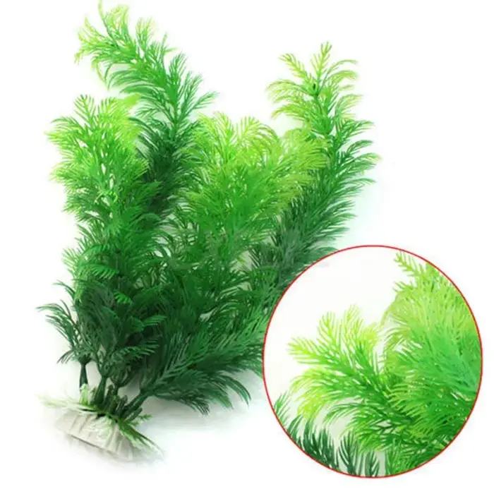 Plante de simulation d'aquarium