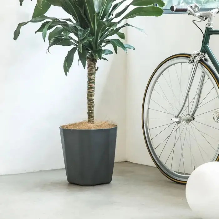 Pot de fleurs respirant pour Pothos, pot moderne décoratif avec trous de drainage et soucoupe assortie, pour intérieur.