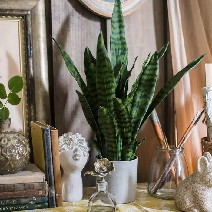 Plante serpent artificielle