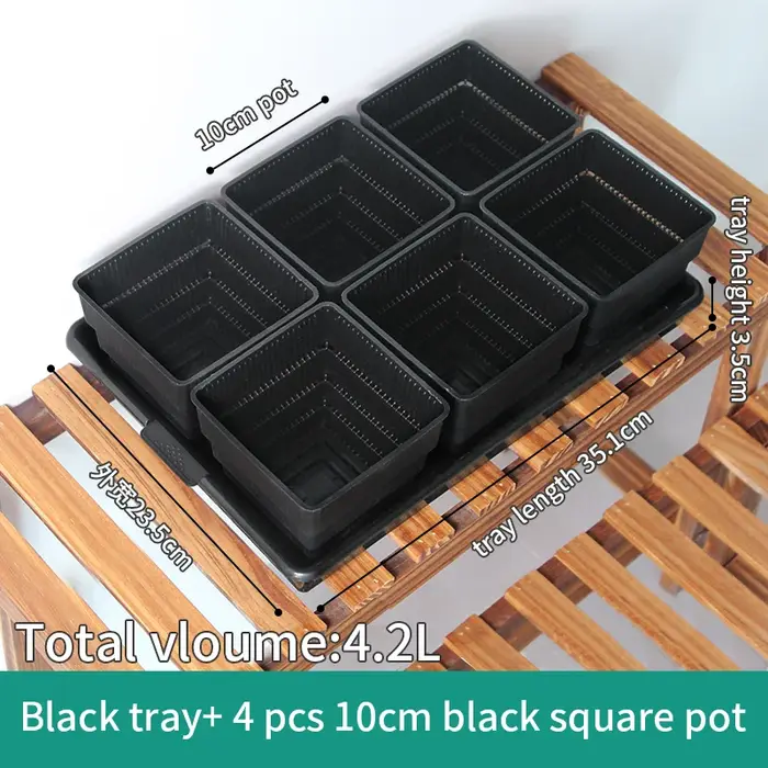 Pots succulents en maille avec trous
