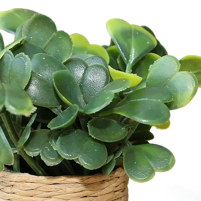 Plantes artificielles en pot, mini-plantes mignonnes en pot, paysage miniature adapté à l'intérieur, à l'extérieur, à la maison, à la cuisine, au bureau