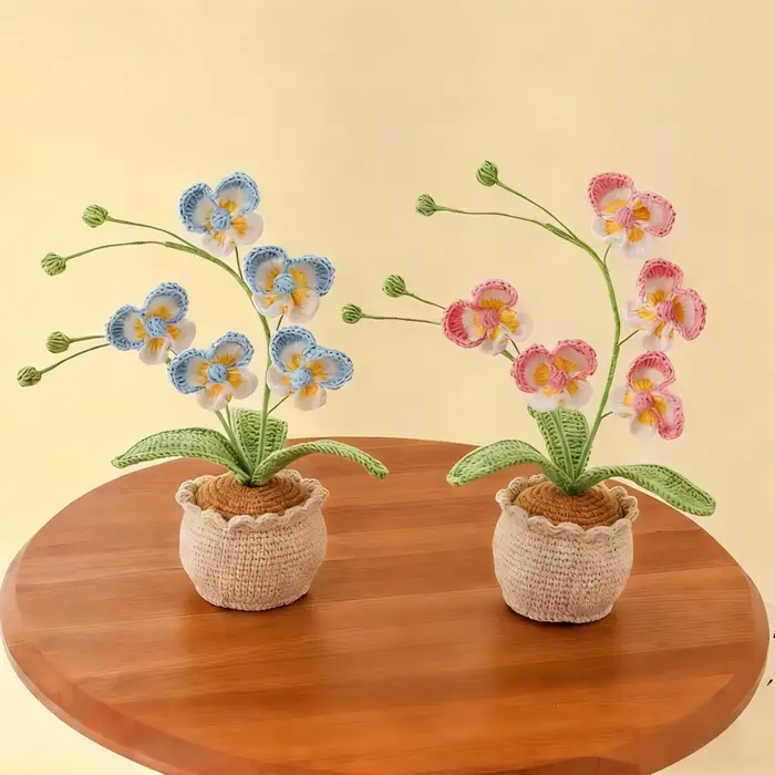 Nouvelle plante en pot de Phalaenopsis à 5 têtes