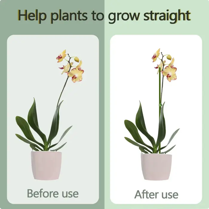 Bâtons de Support pour plantes