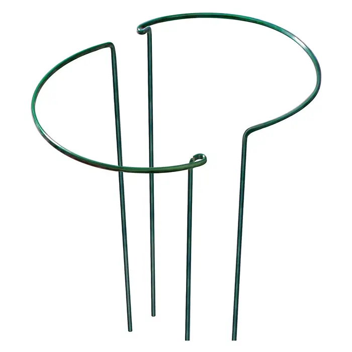 Piquets de Support de Plante en Métal Robuste