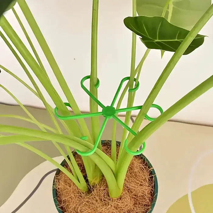 Ensemble de 4 piquets de soutien pour plantes