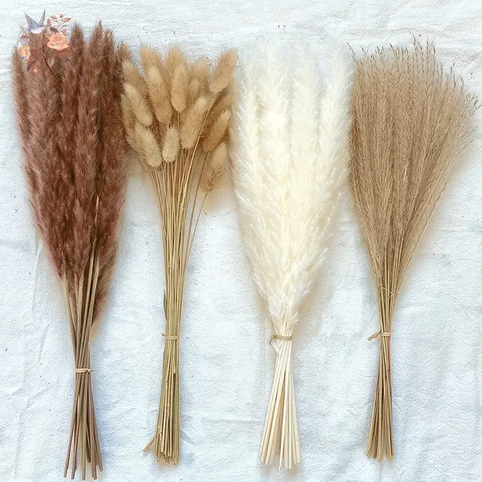 Bouquet de Fleurs vaccées Naturelles pour Décoration de Mariage