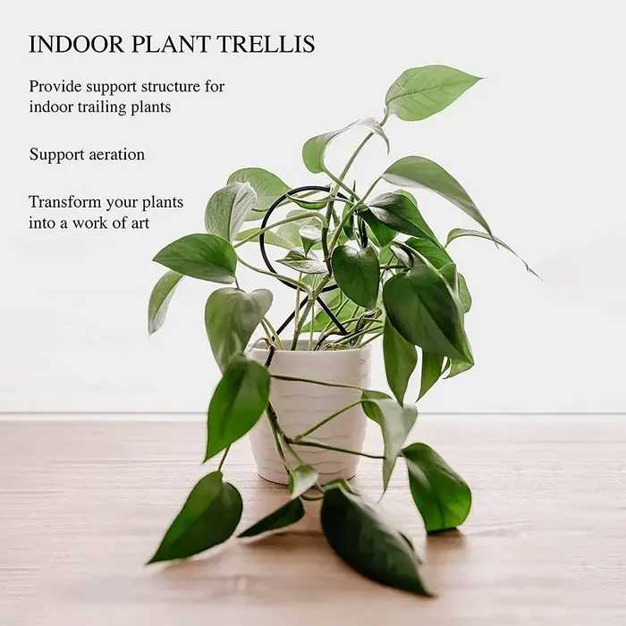 Support d'escalade de tige de plante