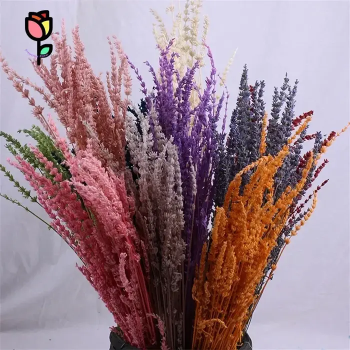 Bouquets de fleurs séchées de lavande préservée naturelle, 100 pièces, décoration de fête de mariage, fleur artificielle Pampas, décoration de noël pour la maison