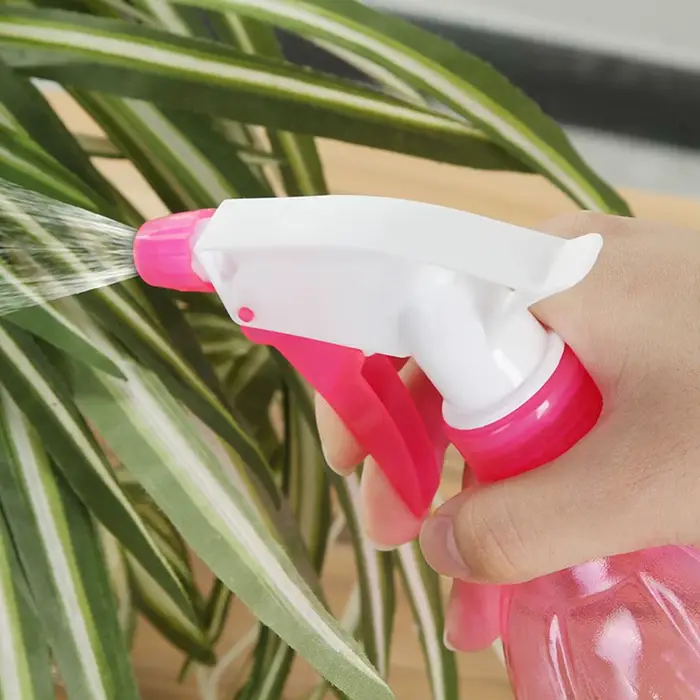 Bouteille de pulvérisation d'eau pour plantes de jardin