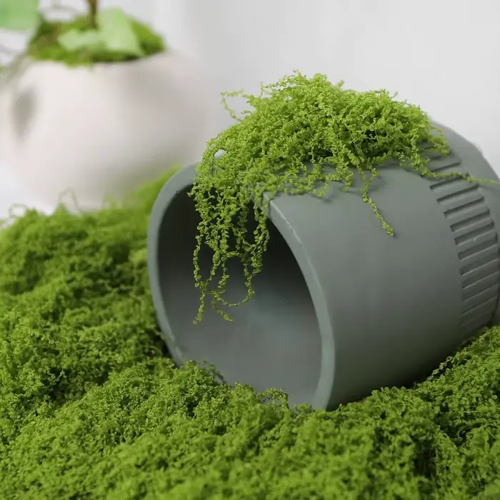 30/50/100g plantes vertes artificielles mousse herbe maison salon jardin décoration Mini paysage fausse fleur bricolage artisanat