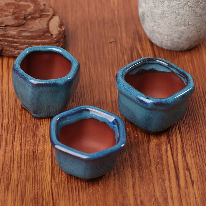 Mini pots de plantes avec trous