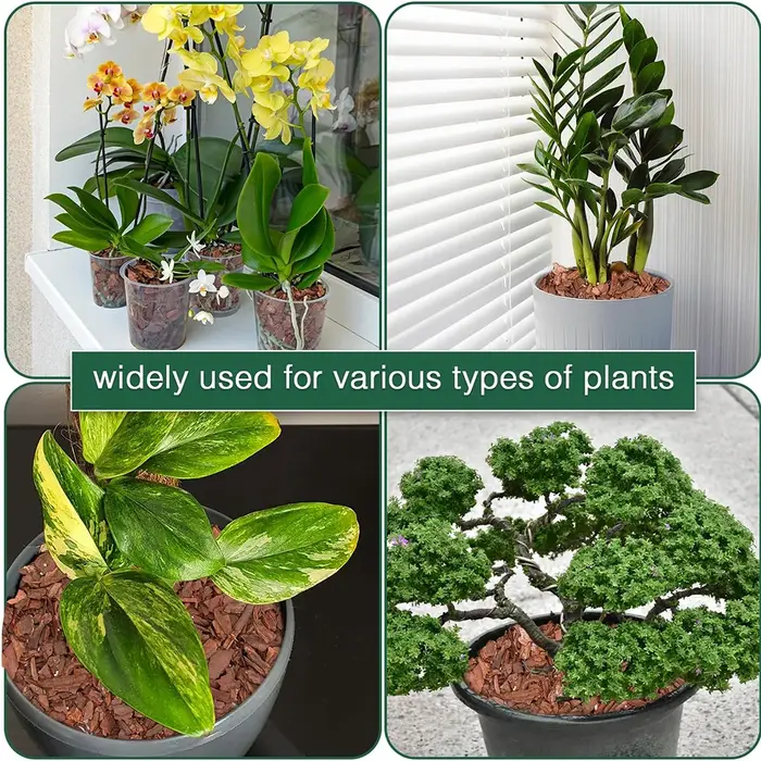 Mélange de culture pour orchidées, granulés de plantation mixtes en écorce de pin et perlite, substrat de culture pour plantes d'intérieur