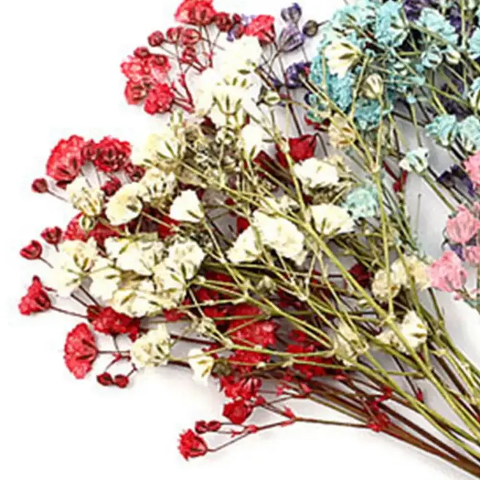 Bouquets de fleurs séchées naturelles