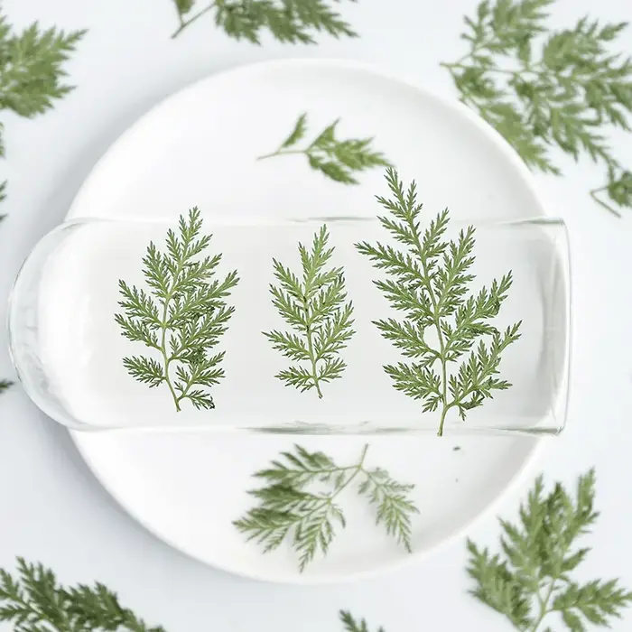 Feuilles naturelles séchées et pressées
