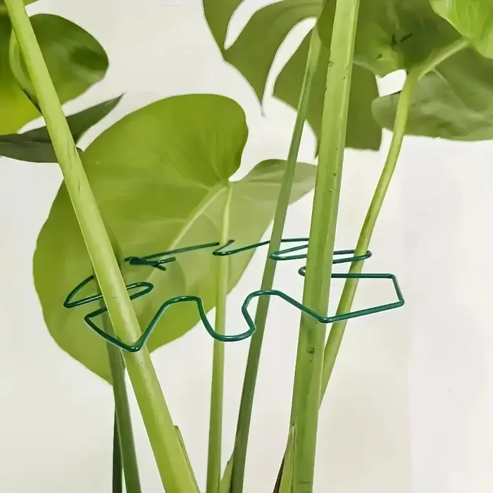 2 supports suspendus fixes en fer pour plantes