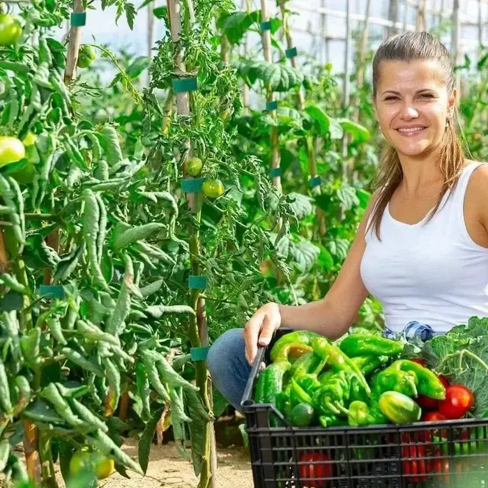 Attaches pour plantes en Nylon réutilisables de 10M