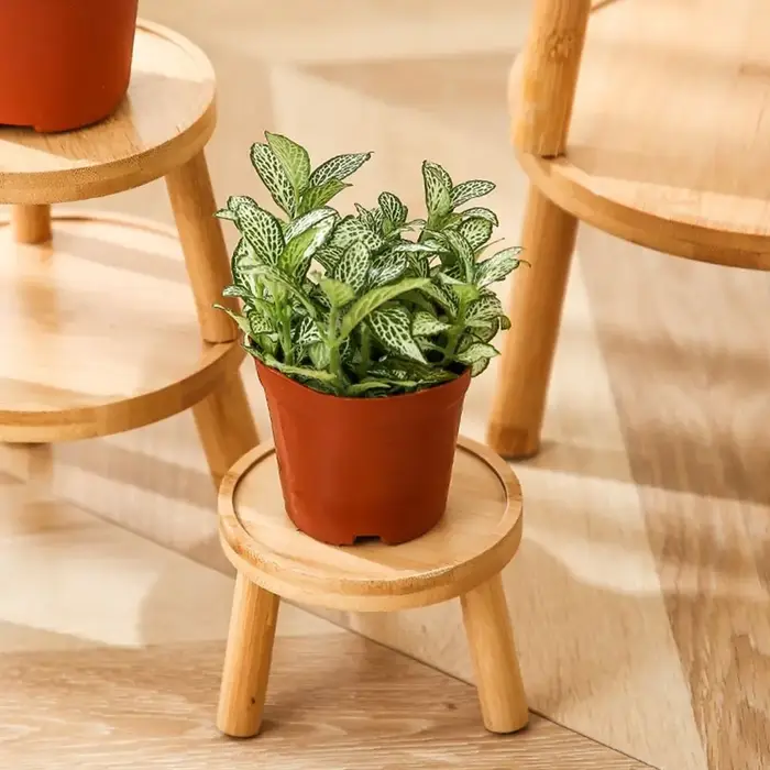 Plateau de pot de fleurs rond en bois