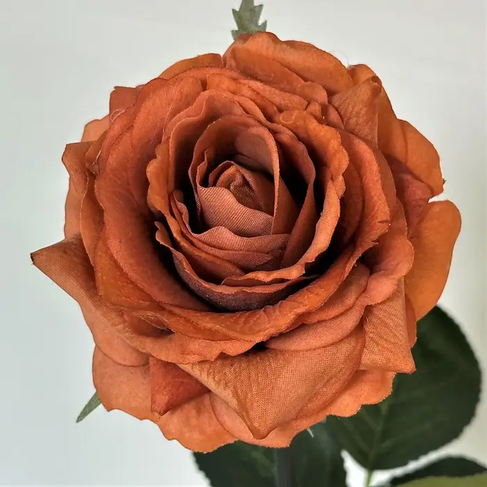 Lot de 5 roses artificielles Alice à tête unique