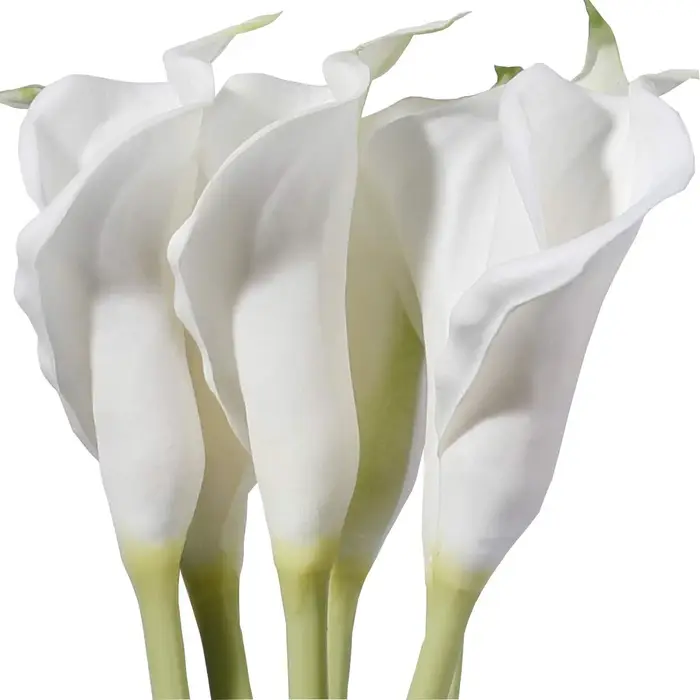 Grandes fleurs artificielles de calla blanches de 25 pouces, 6 pièces, aspect naturel avec longue ti