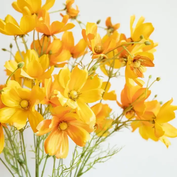Branche de fleurs artificielles Cosmos Gesang