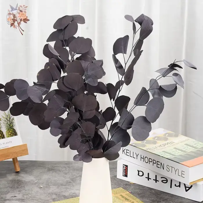 Bouquet de feuilles d'eucalyptus conservées