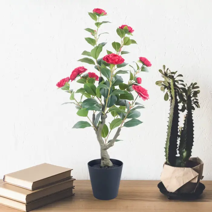 Arbre topiaire Camélia de 85 cm avec pot/support